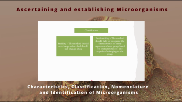 Microbiology - Characterization & Identification of microbes - Screenshot_03