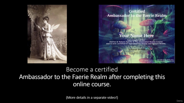 Fairies & Nature Spirits & The Elemental Realm – Screenshot 3