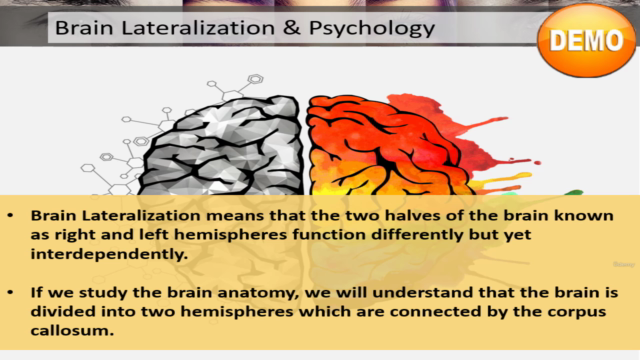 Principles of Psychology - Screenshot_03
