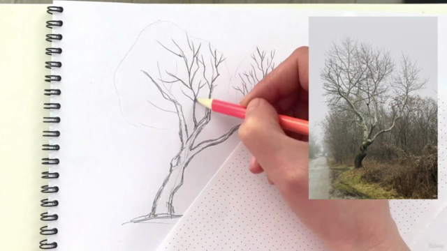 Trees for Beginners - From Sketching to Watercolor Painting - Screenshot_02