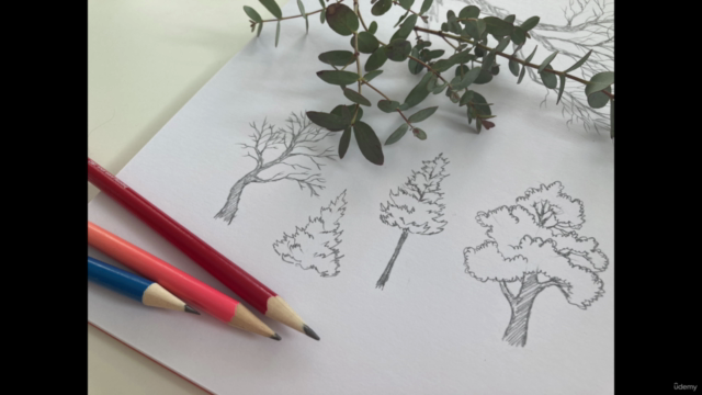 Trees for Beginners - From Sketching to Watercolor Painting - Screenshot_04