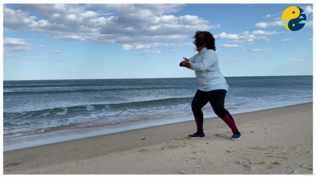 Shibashi or Tachi qigong in 18 movements – Screenshot 4