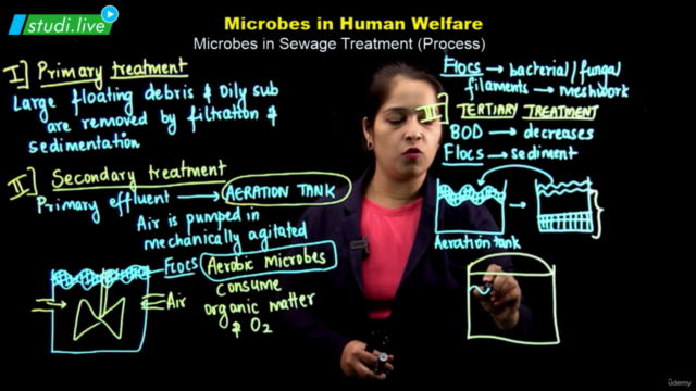 Biology - Microbes in Human Welfare - Screenshot_04
