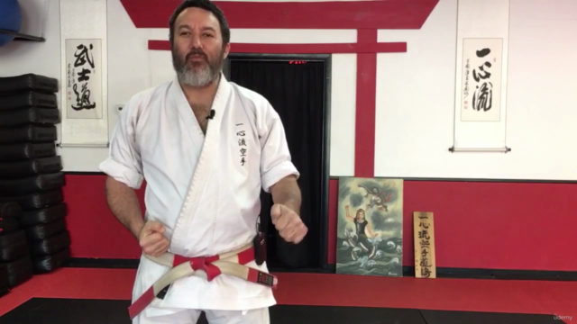 Dissect the Dissection of Isshinryu Karate: Wansu Kata – Screenshot 2