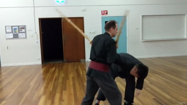 Martial Arts - Kenjutsu - Longsword Variations 2 (Henka) – Screenshot 2
