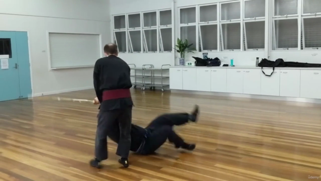 Martial Arts - Kenjutsu - Longsword Variations 2 (Henka) – Screenshot 4