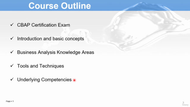 Business Analysis: CBAP- English version – Screenshot 2
