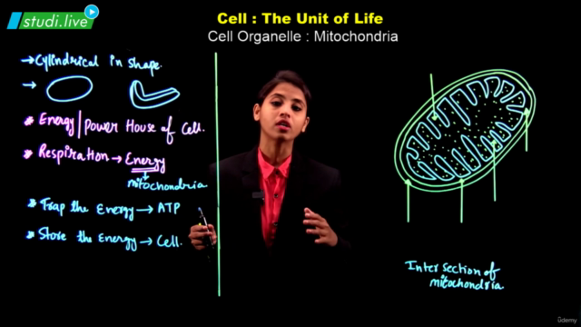 Biology - Cell the Unit of Life – Screenshot 2