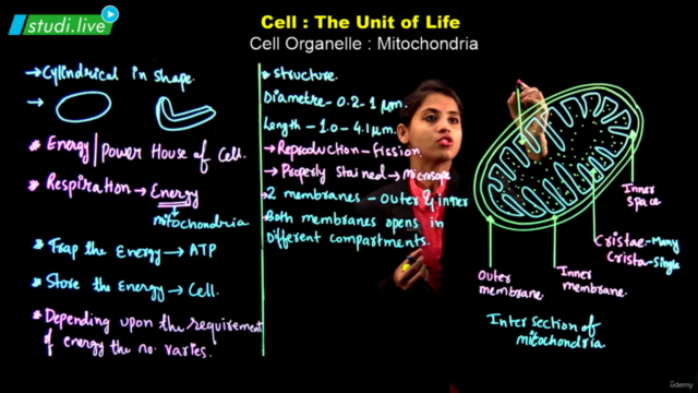 Biology - Cell the Unit of Life – Screenshot 4