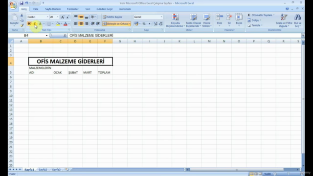 Yeni başlayan için Microsoft Excel – Screenshot 1