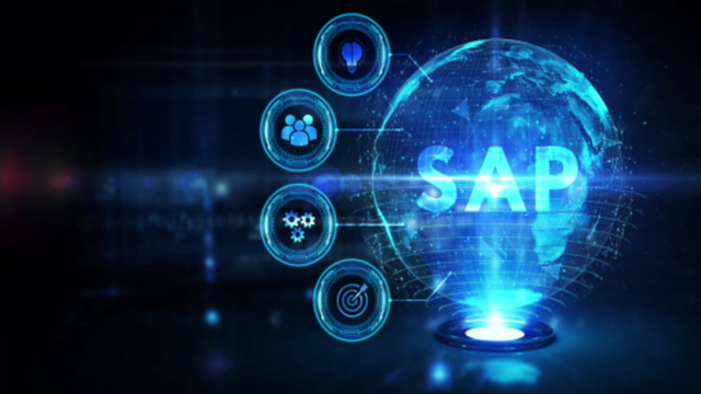 SAP Material Management For Beginners – Screenshot 1
