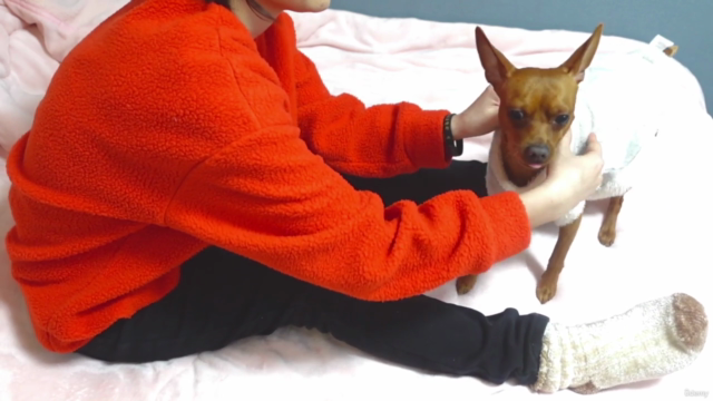 【永久保存版】1番簡単な解決法!犬のしつけ大全(特典:ペットと距離が近くなる犬の気持ち講座つき) – Screenshot 1