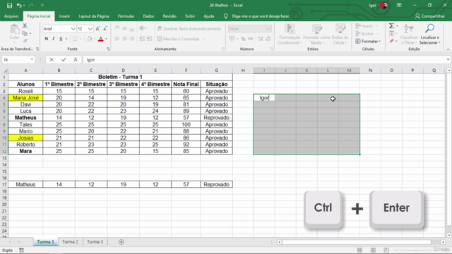 Treinamento de Excel Essencial – Screenshot 3