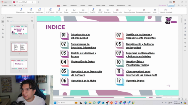 Director de Ciberseguridad (CISO) – Screenshot 3