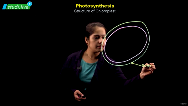 Biology - Photosynthesis - Screenshot_01