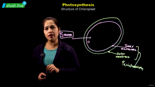 Biology - Photosynthesis - Screenshot_02