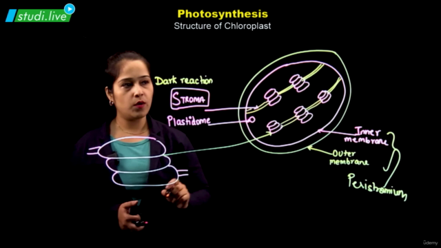 Biology - Photosynthesis - Screenshot_03