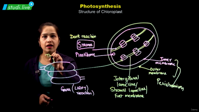 Biology - Photosynthesis - Screenshot_04