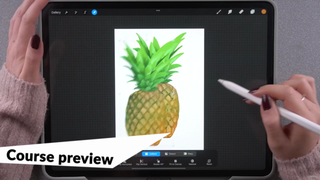 Procreate Masterclass: Dibujo digital para el iPad – Screenshot 3