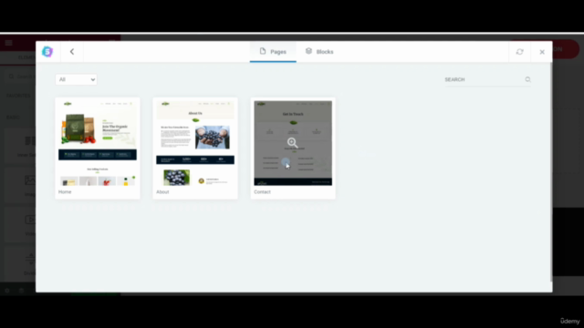 Master Website Design with WordPress (No Coding Required) – Screenshot 4