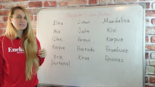 Turkish Language For Spanish Speakers- Turco- Türkçe – Screenshot 4