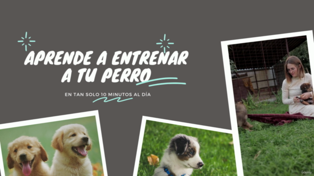 Adiestramiento Canino: Curso para enseñar comandos básicos. – Screenshot 1