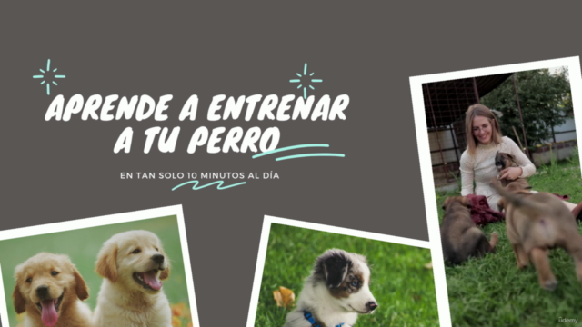 Adiestramiento Canino: Curso para enseñar comandos básicos. – Screenshot 4