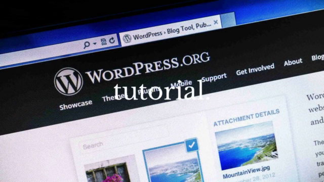 WordPress for Beginners. Learn WordPress Website Making. – Screenshot 2