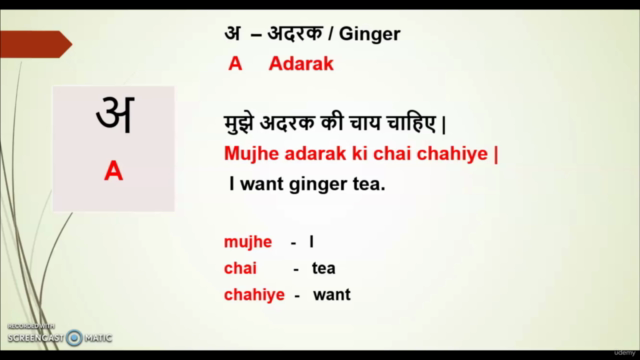 Learn Hindi Through English: Beginner to Advanced – Screenshot 4