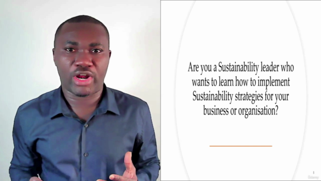 Sustainability: Impact, Value (s), Innovation, and Growth – Screenshot 2