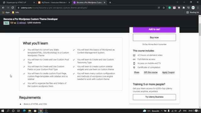 Become a Pro Wordpress Custom Theme Developer - Screenshot_01