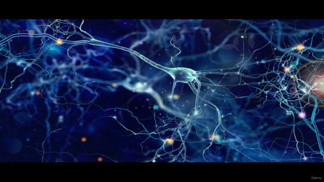 The Epigenetics Cure for Mental and Physical Illness – Screenshot 2