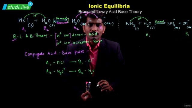 Physical Chemistry - Ionic Equilibria – Screenshot 4