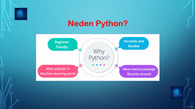 Python ile Algoritma: Açıklamalı 50 Python Algoritma Çözümü – Screenshot 3