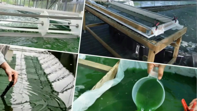 Spirulina دورة حول زراعة وإنتاج طحالب السبيرولينا – Screenshot 1
