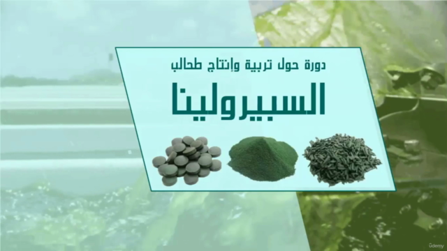 Spirulina دورة حول زراعة وإنتاج طحالب السبيرولينا – Screenshot 2