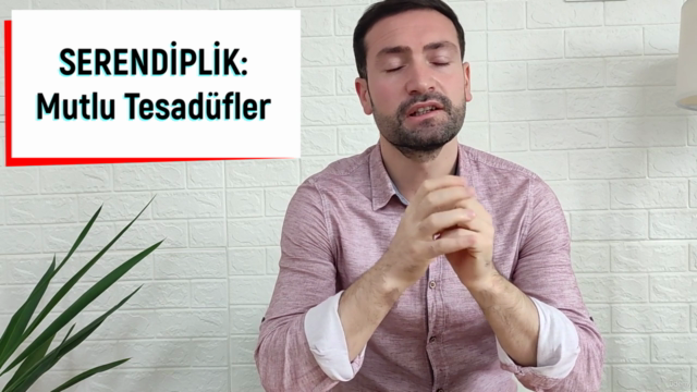 Serendiplik: Mutlu Tesadüfler – Screenshot 1