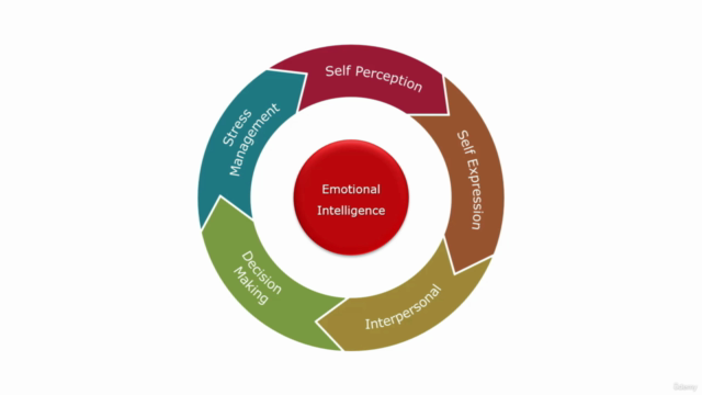 The Principles of Emotional Intelligence – Screenshot 2