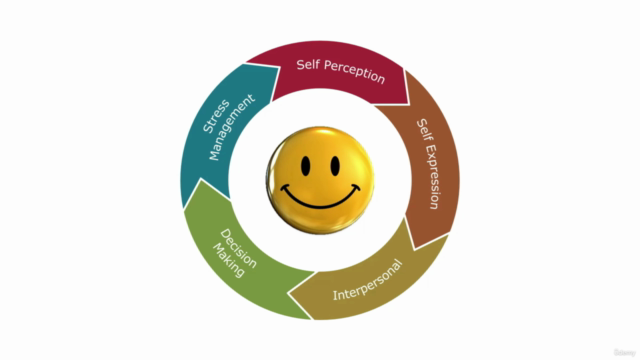 The Principles of Emotional Intelligence – Screenshot 4