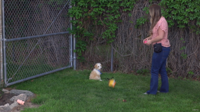 The Ultimate Dog Obedience Training Course – Screenshot 1
