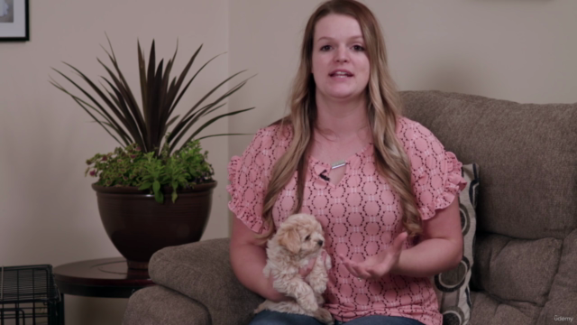 The Ultimate Dog Obedience Training Course – Screenshot 2