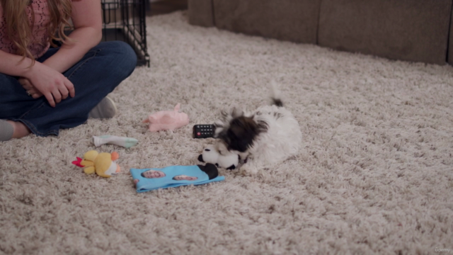 The Ultimate Dog Obedience Training Course – Screenshot 3