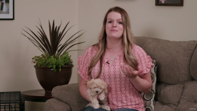 The Ultimate Dog Obedience Training Course – Screenshot 4