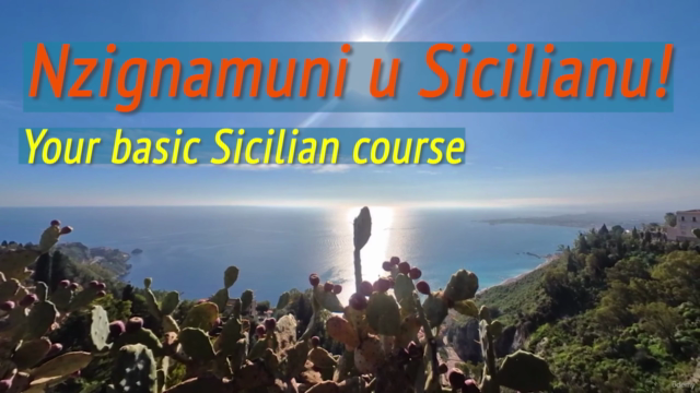 Basic Sicilian Language – Screenshot 2