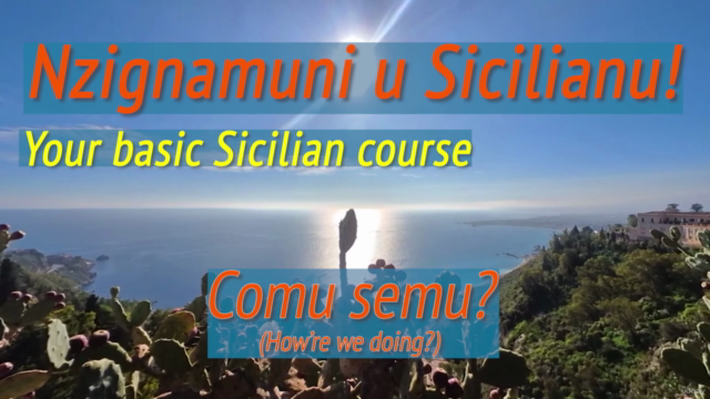 Basic Sicilian Language – Screenshot 3