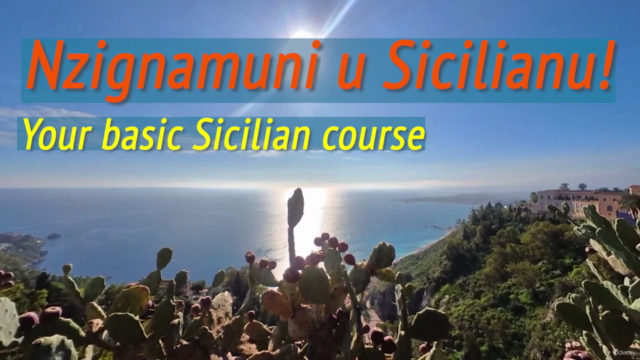 Basic Sicilian Language – Screenshot 4