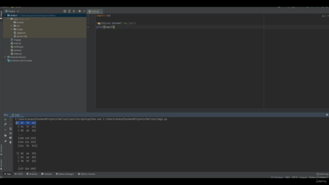 Basics of Python and Image Processing With Python (OpenCV) – Screenshot 2