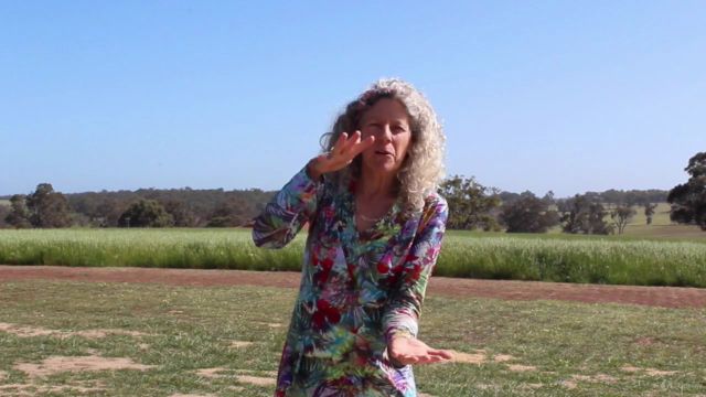How To Use Yoga Nidra To Open And Empower Your Life Purpose – Screenshot 2