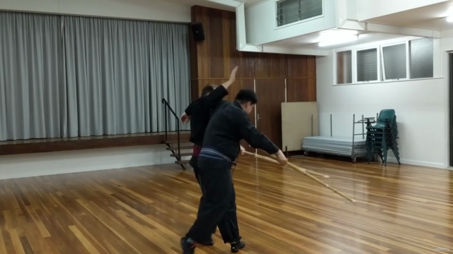Martial Arts - Kenjutsu - Longsword Variations 3 (Henka) – Screenshot 2