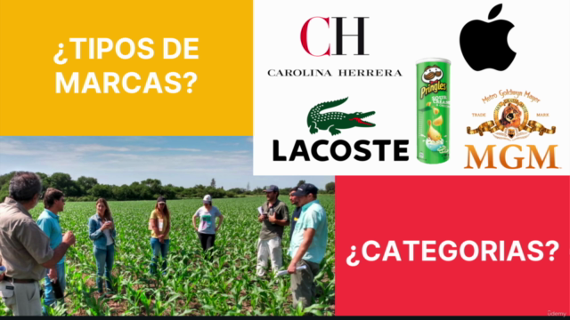 REGISTRO Y PROTECCIÓN DE MARCAS ANTE EL IMPI – Screenshot 3
